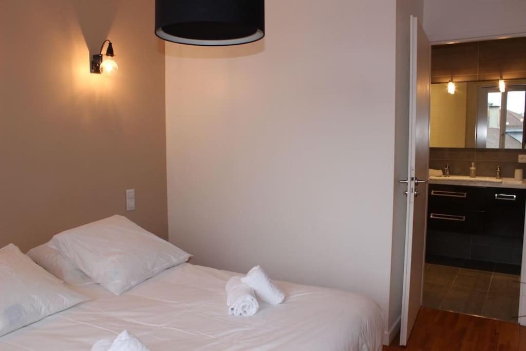 Le Jane : Centre Ville, Garage, Balcon Annecy Zewnętrze zdjęcie